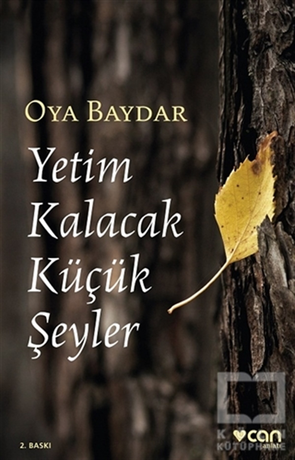 Oya BaydarAnlatıYetim Kalacak Küçük Şeyler