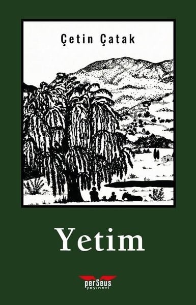 Çetin ÇatakTürk RomaniYetim