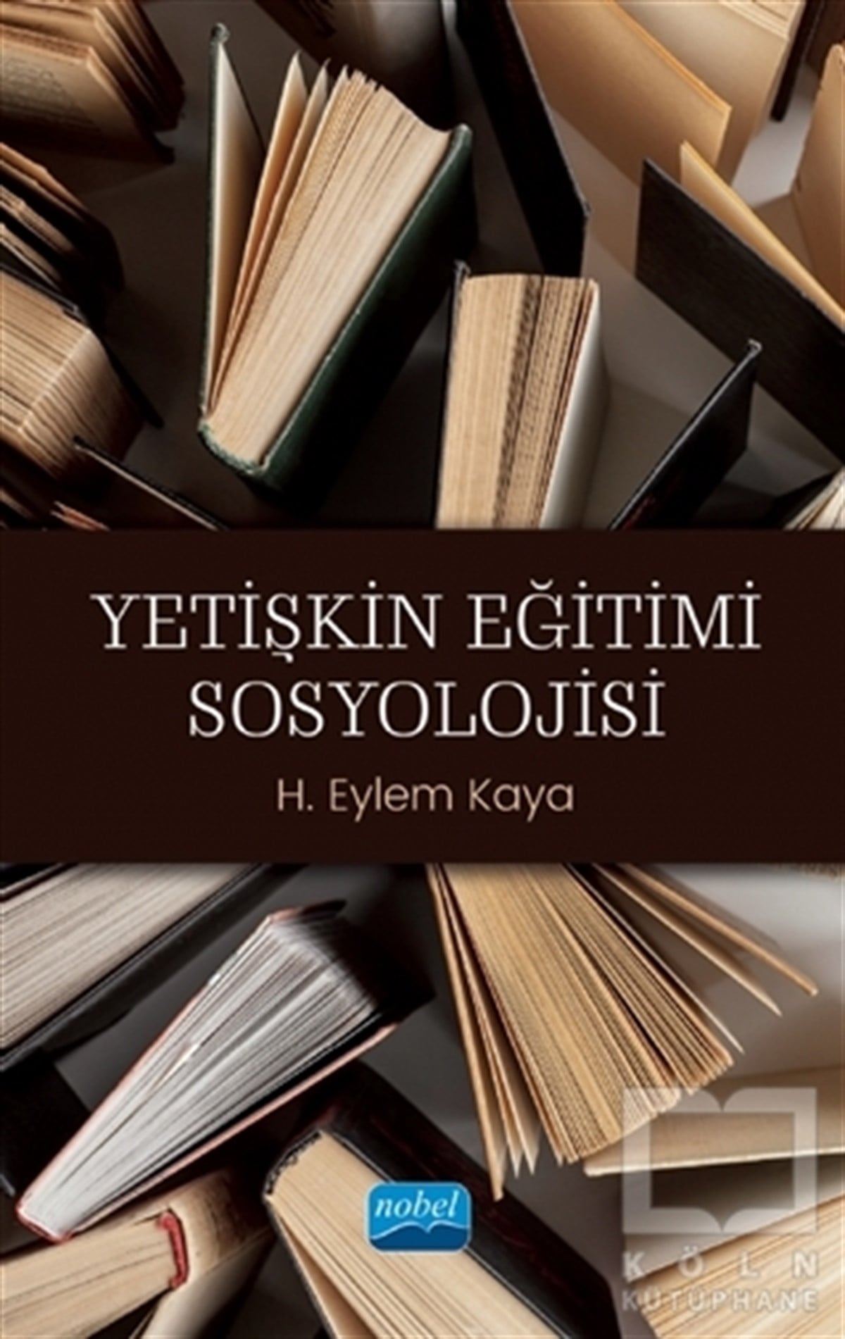 H. Eylem KayaDiğerYetişkin Eğitimi Sosyolojisi