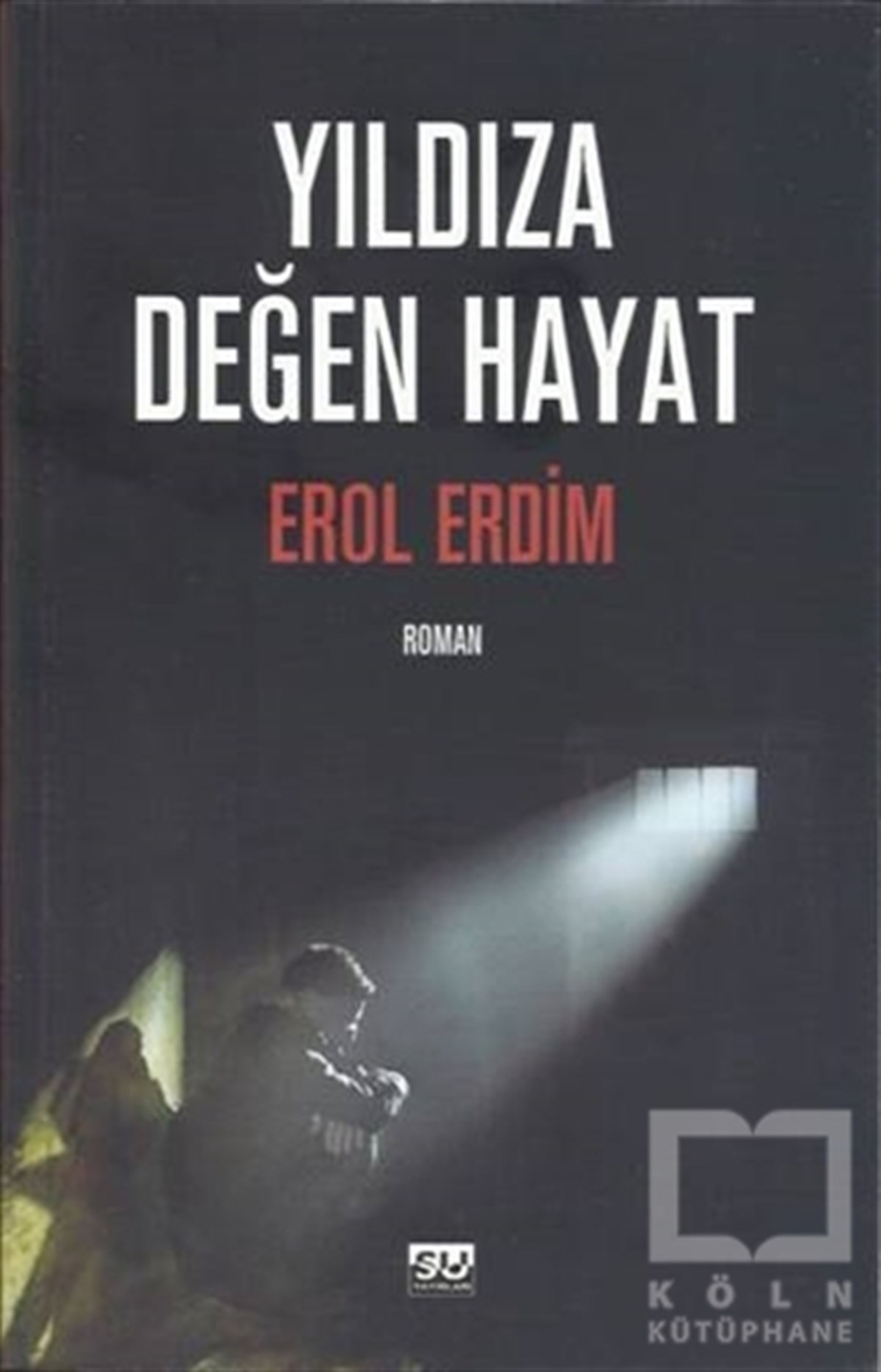 Erol ErdimRomanYıldıza Değen Hayat
