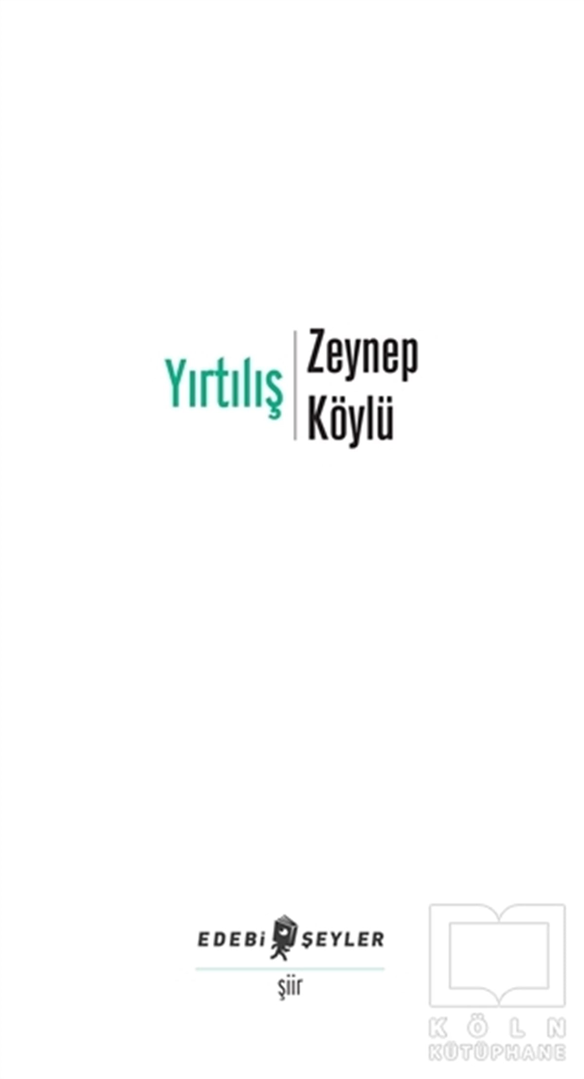 Zeynep KöylüŞiirYırtılış