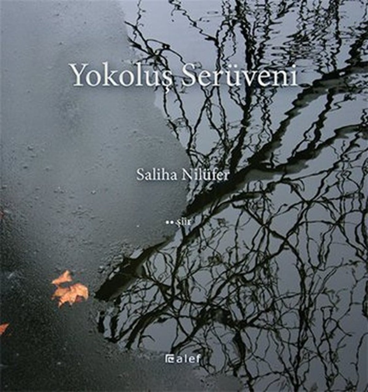 Saliha NilüferTürk ŞiiriYokoluş Serüveni