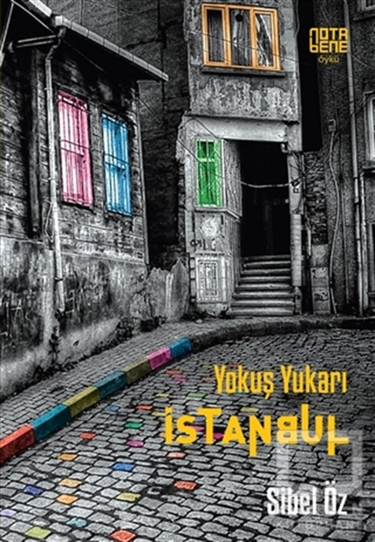 Sibel ÖzÖyküYokuş Yukarı İstanbul