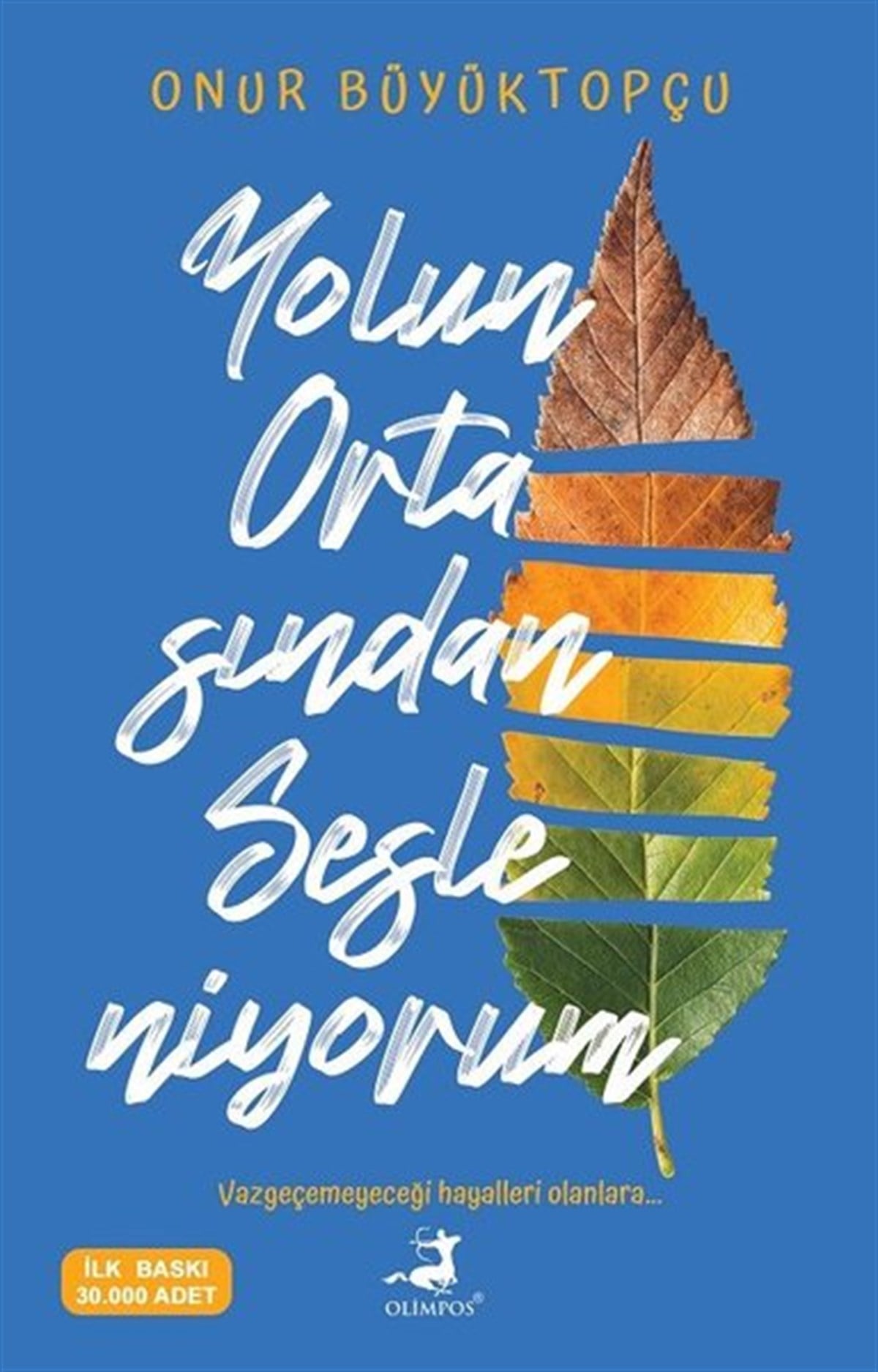 Onur BüyüktopçuAnı & Mektup & Günlük KitaplarıYolun Ortasından Sesleniyorum