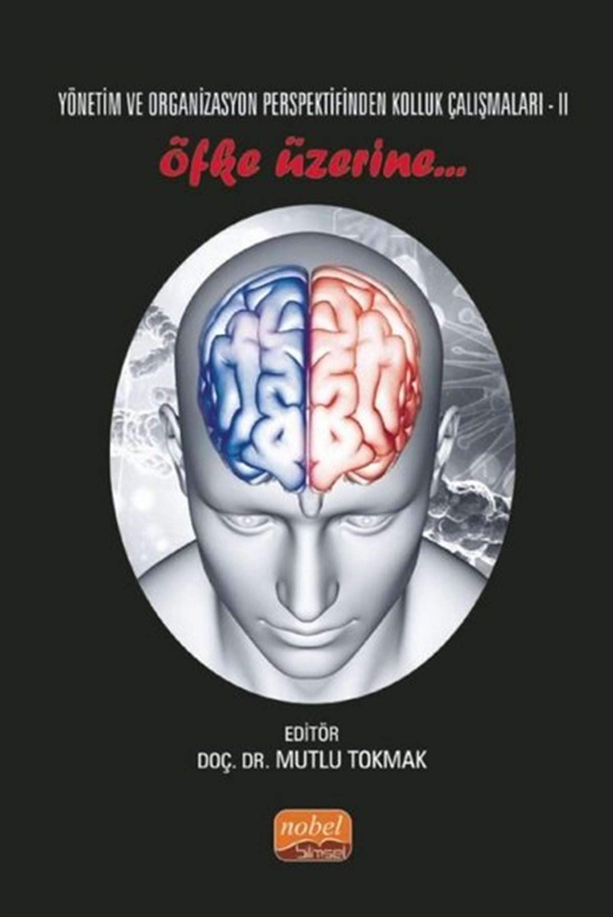 KolektifİşletmeYönetim ve Organizasyon Perspektifinden Kolluk Çalışmaları - 2
