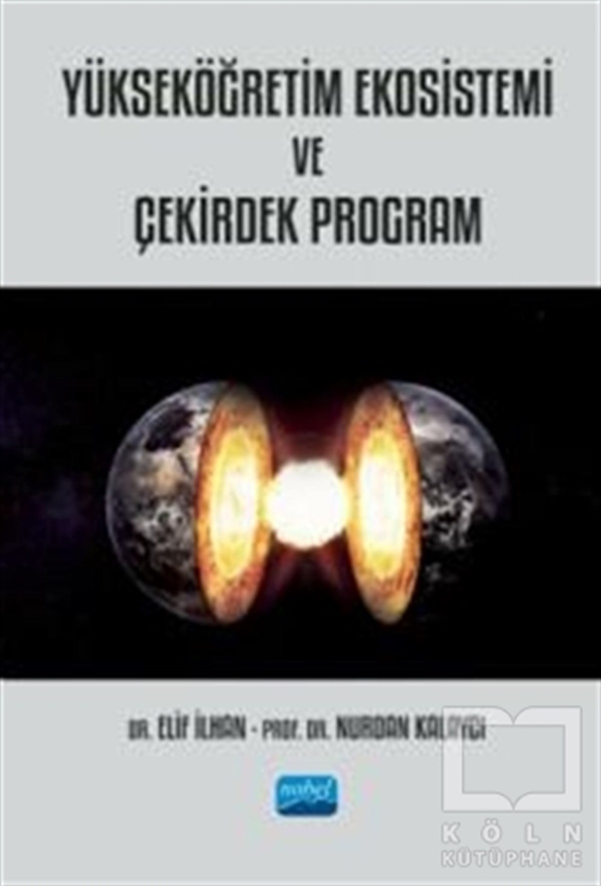 Nurdan KalaycıDiğerYükseköğretim Ekosistemi ve Çekirdek Program