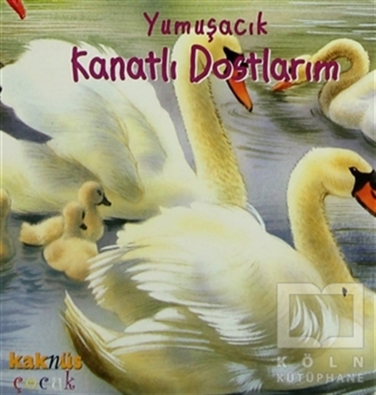 KolektifRoman-ÖyküYumuşacık Kanatlı Dostlarım