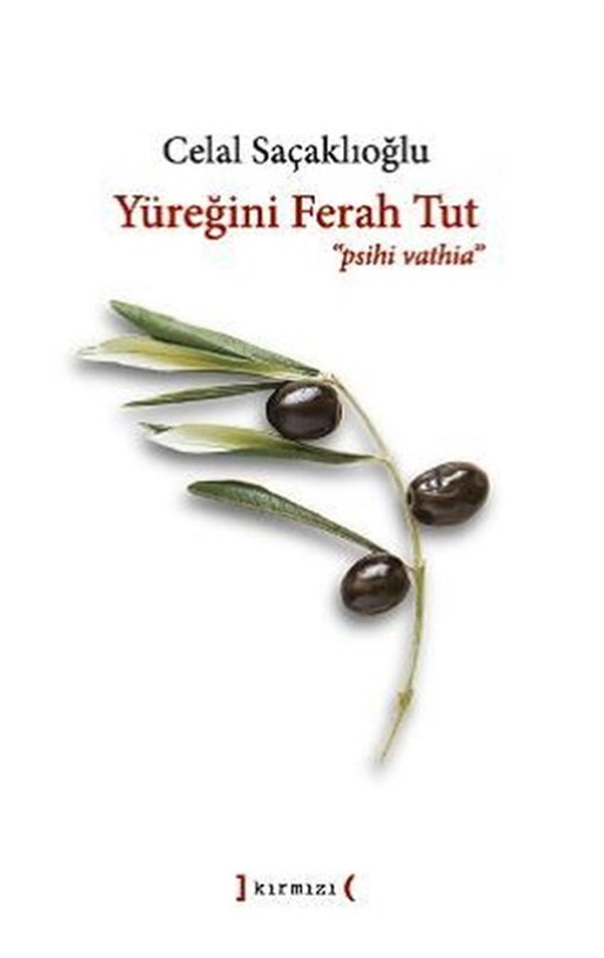 Celal SaçaklıoğluTürkiye RomanYüreğini Ferah Tut