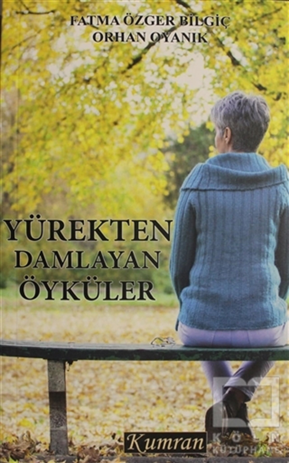 Fatma Özger BilgiçHikaye (Öykü) KitaplarıYürekten Damlayan Öyküler