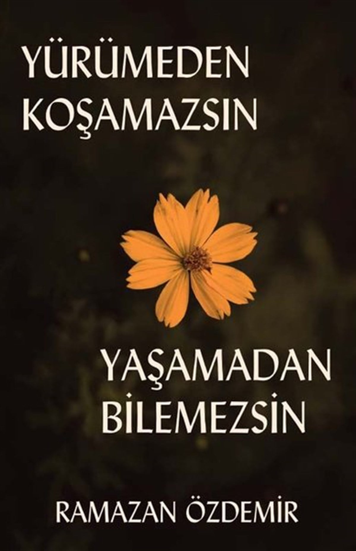 Ramazan ÖzdemirTürkiye RomanYürümeden Koşamazsın Yaşamadan Bilemezsin