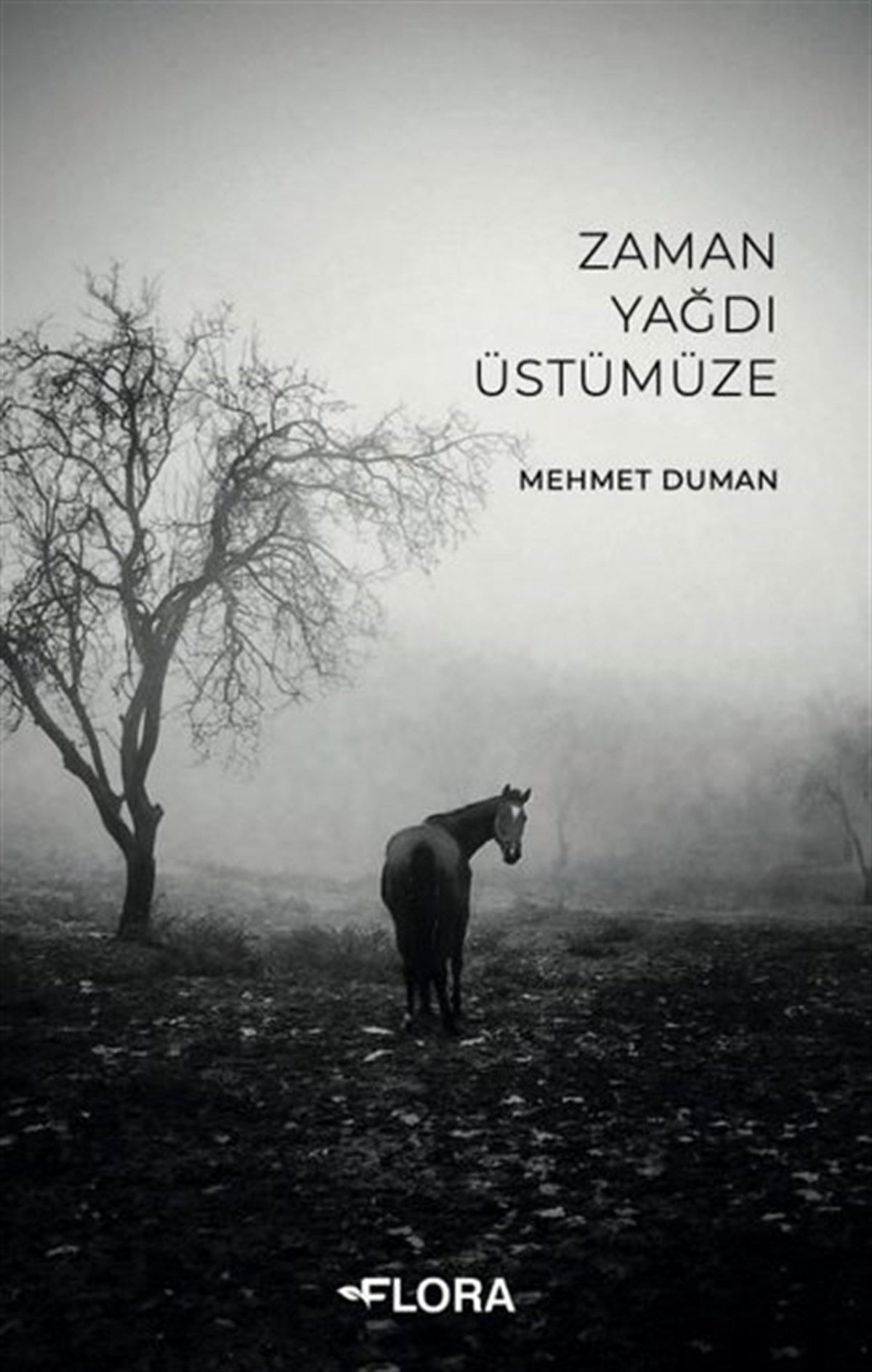 Mehmet DumanDeneme KitaplarıZaman Yağdı Üstümüze