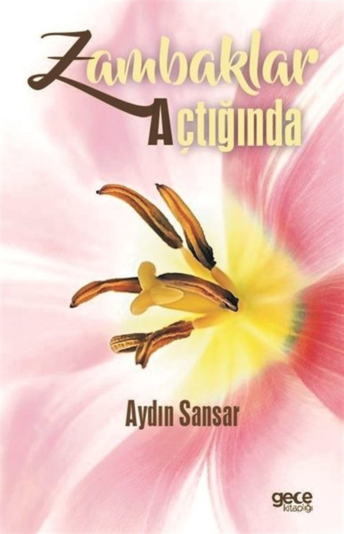 Aydın SansarTürk ŞiiriZambaklar Açtığında