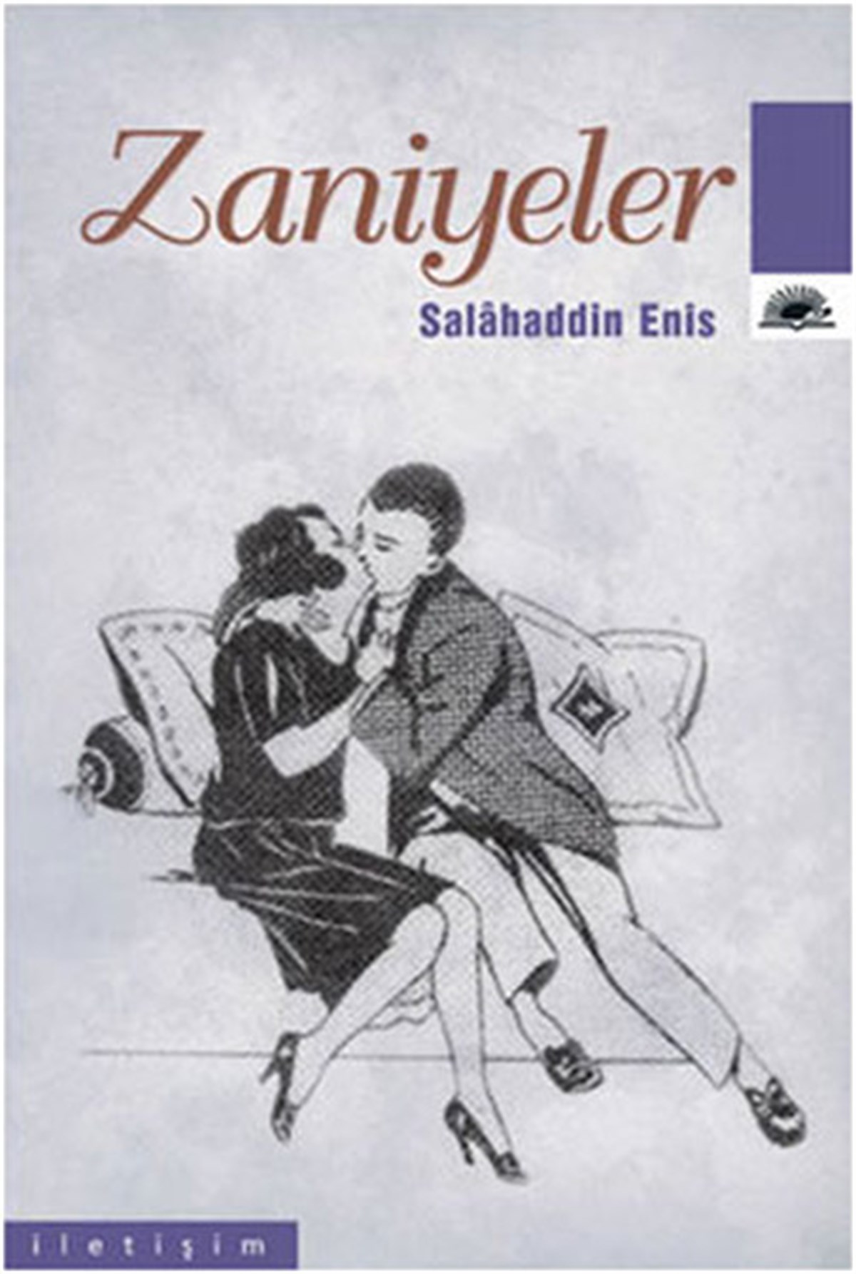 Salahâddin EnisTürkiye RomanZaniyeler