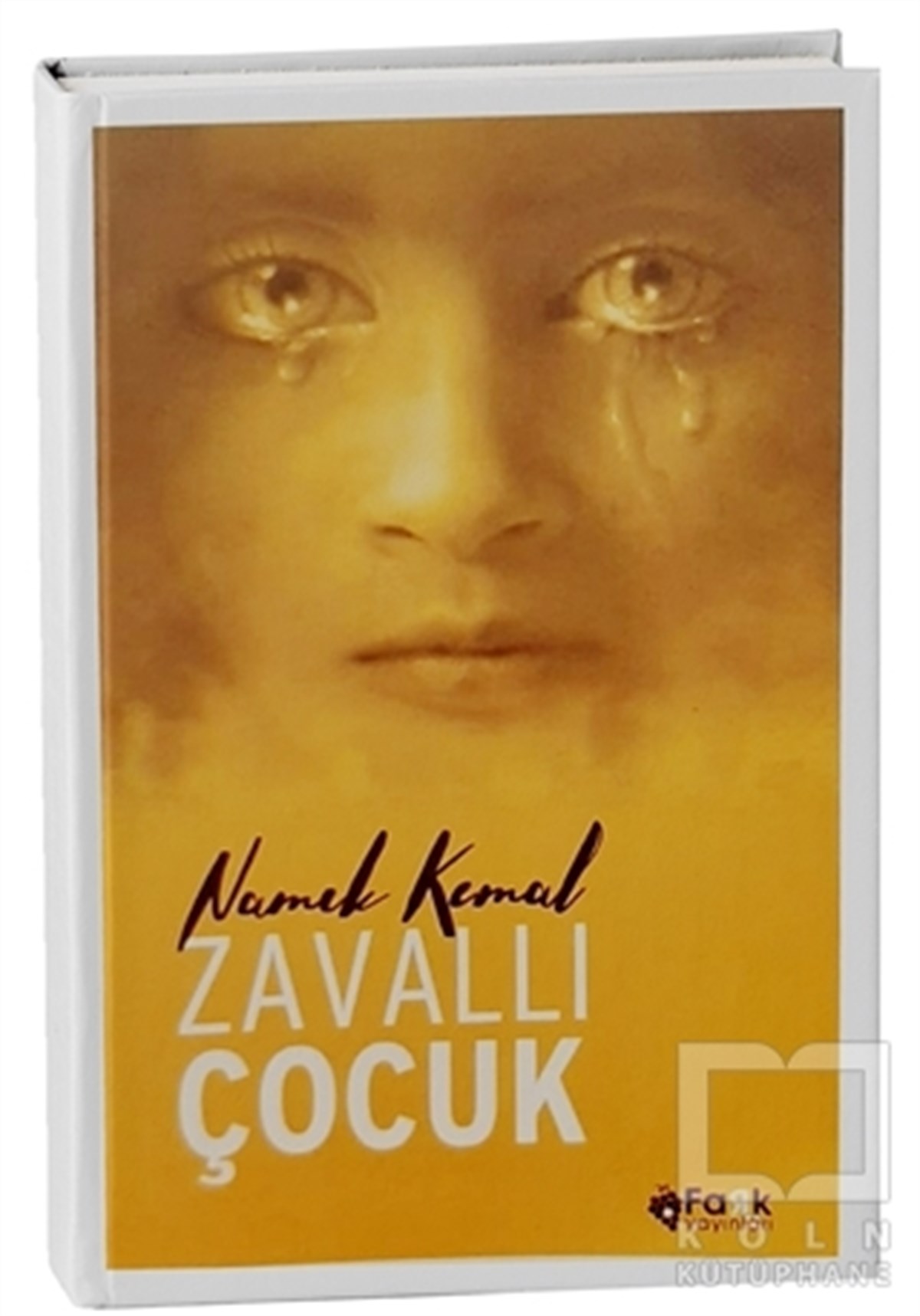 Namık KemalTürkçe RomanlarZavallı Çocuk