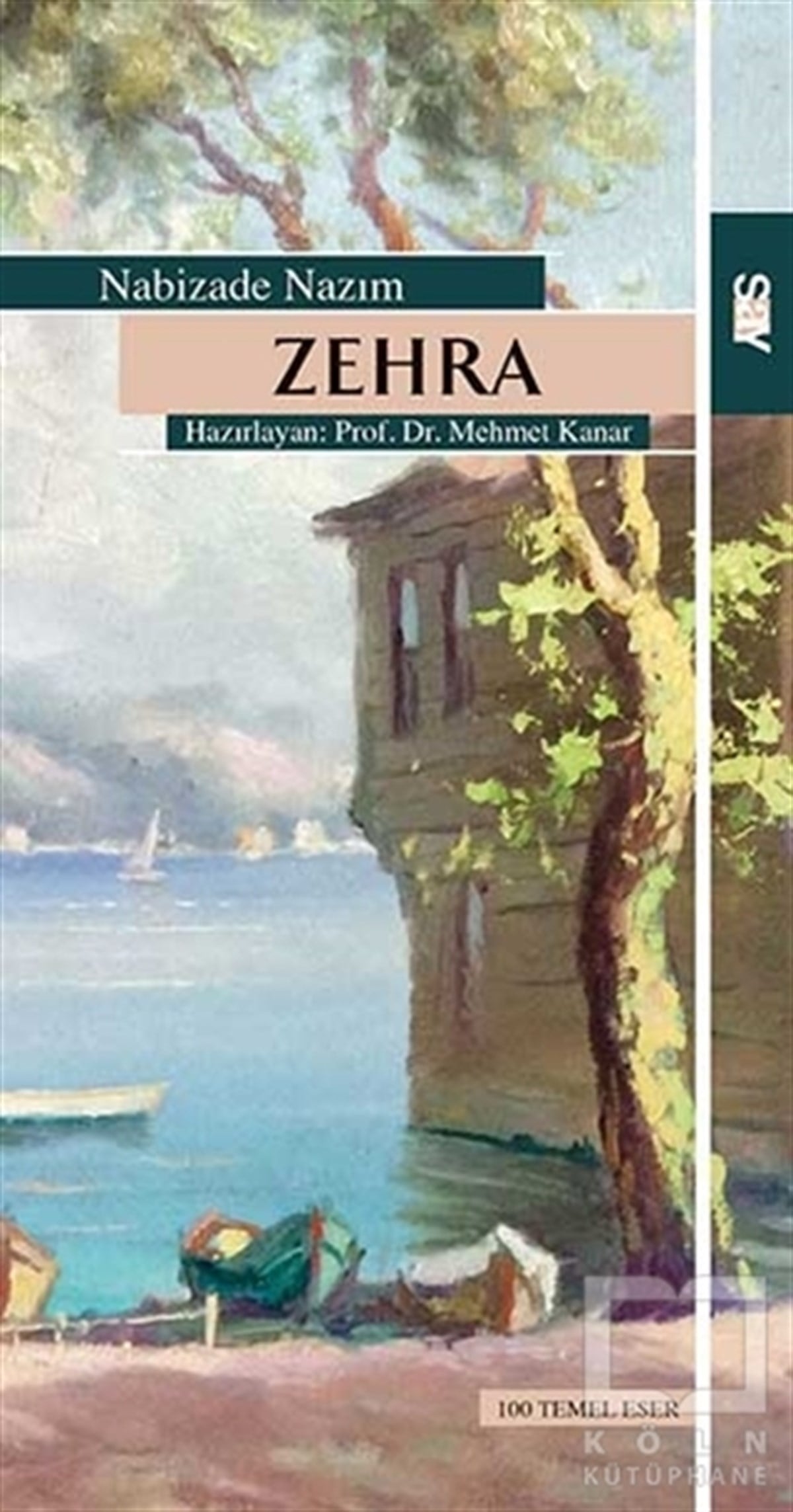 Nabizade NazımRomanZehra