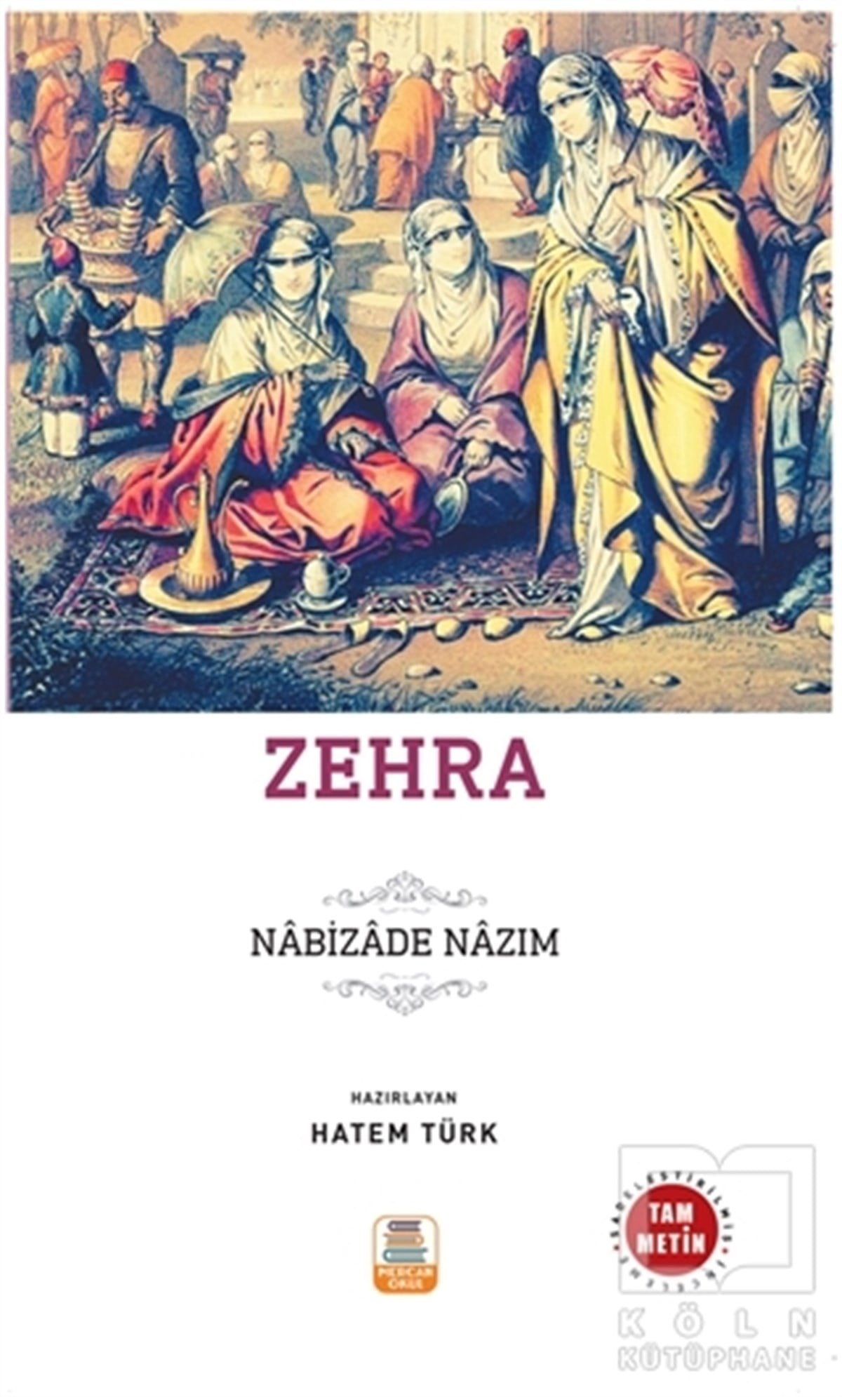 Nabizade NazımTürkçe RomanlarZehra