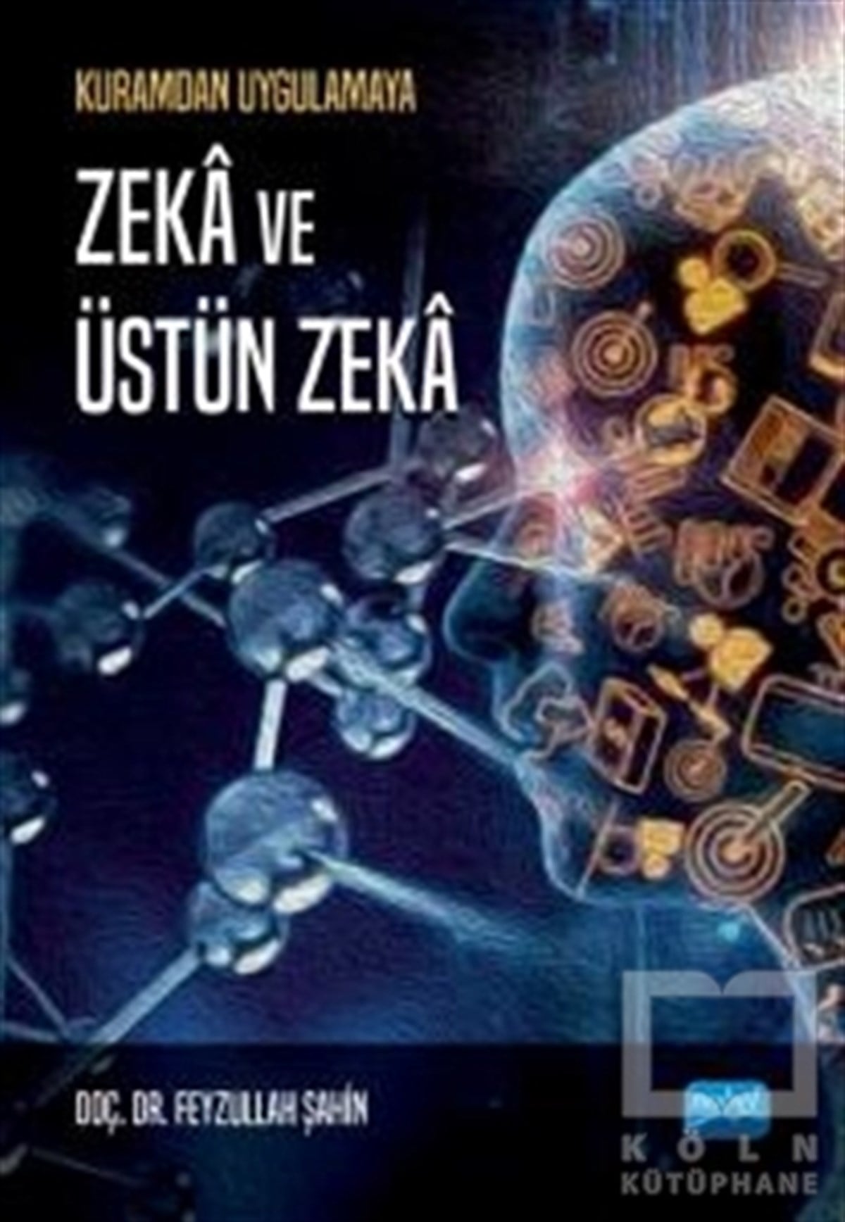 Feyzullah ŞahinDiğerZeka ve Üstün Zeka