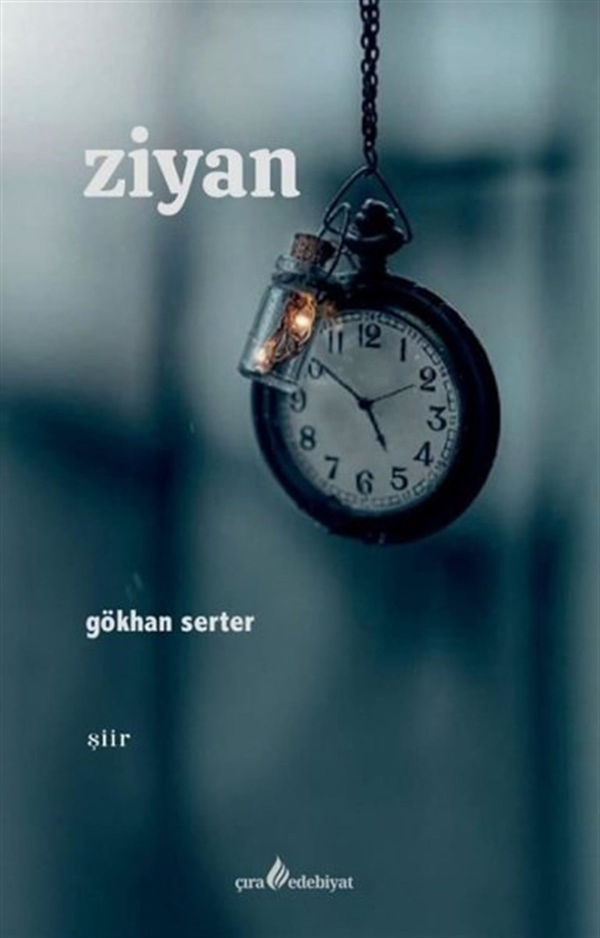 Gökhan SerterTürk ŞiiriZiyan