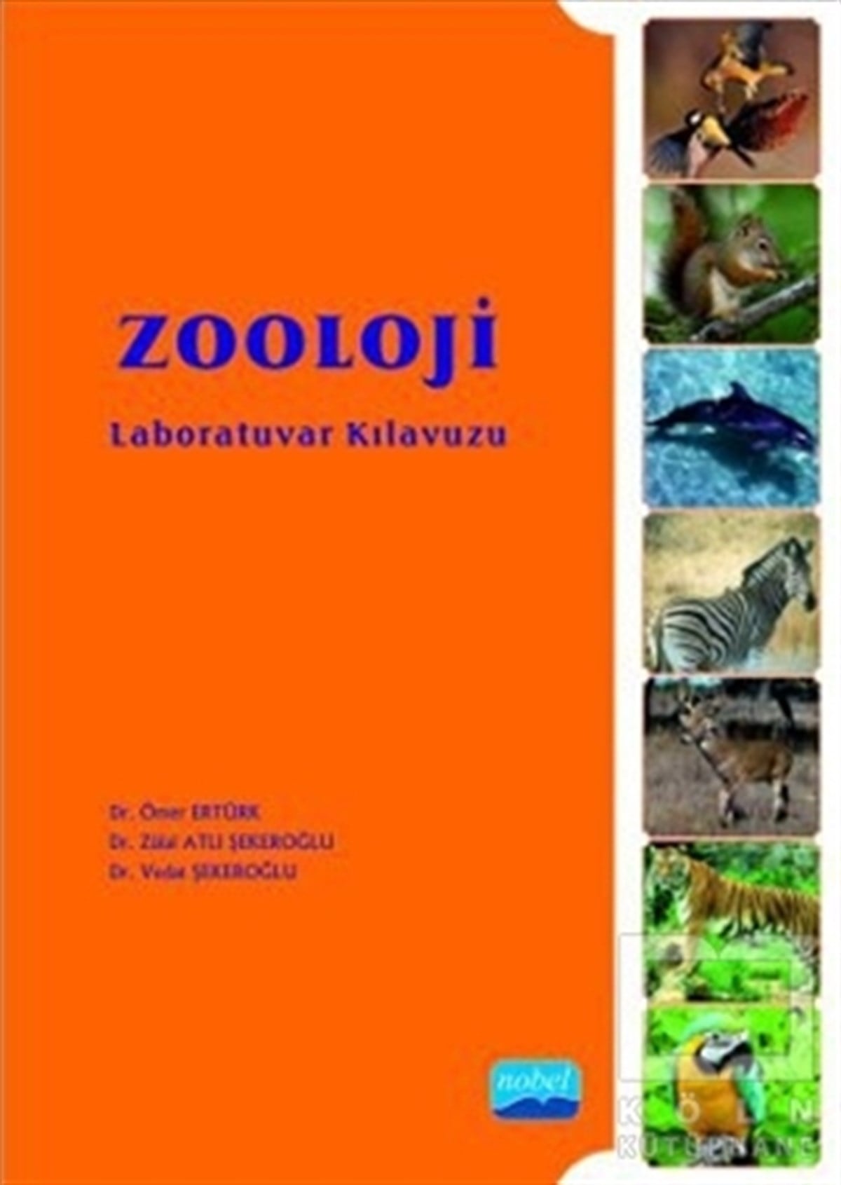 Ömer ErtürkAkademikZooloji Laboratuvar Kılavuzu