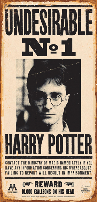 Harry Potter Aranıyor Mini Retro Ahşap Poster