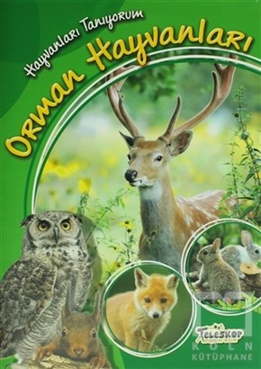 KolektifBilimsel KitaplarHayvanları Tanıyorum - Orman Hayvanları