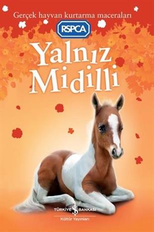 Sarah HawkinsÇocuk Gençlik RomanlarıYalnız Midilli - Gerçek Hayvan Kurtarma Maceraları