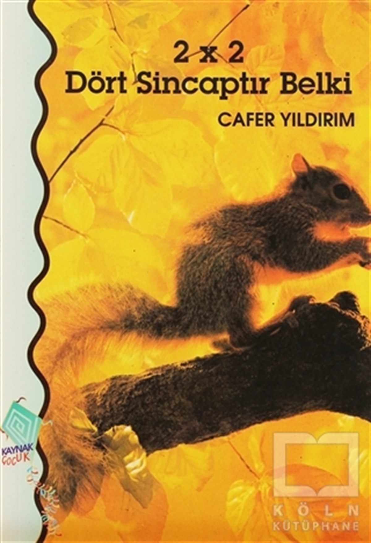 Cafer YıldırımŞiir Kitapları2 x 2 Dört Sincaptır Belki
