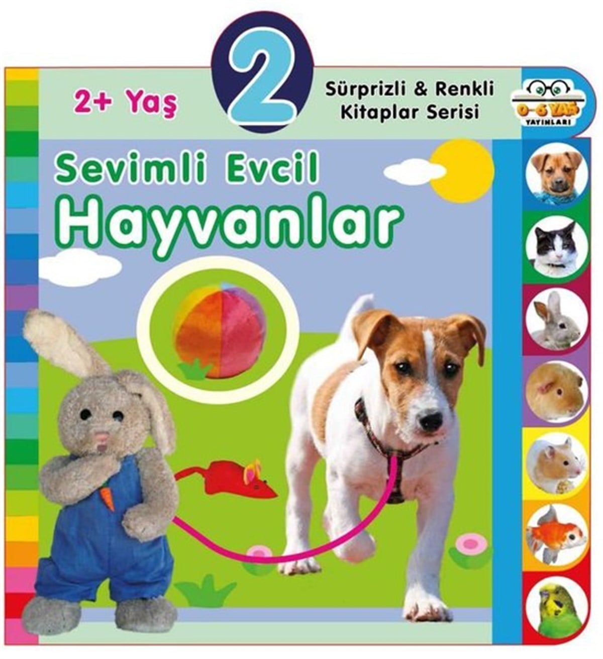 KolektifEgitim Etkinlik Kitaplari2+ Yaş Sevimli Evcil Hayvanlar - Sürprizli ve Renkli Kitaplar Serisi