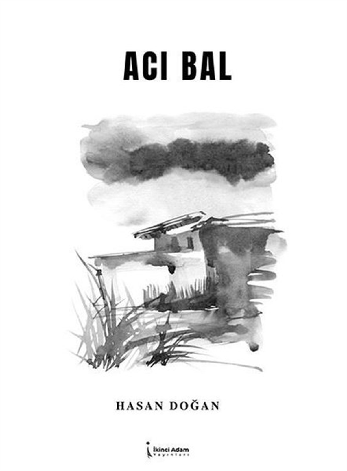 Hasan DoğanTürkiye RomanAcı Bal
