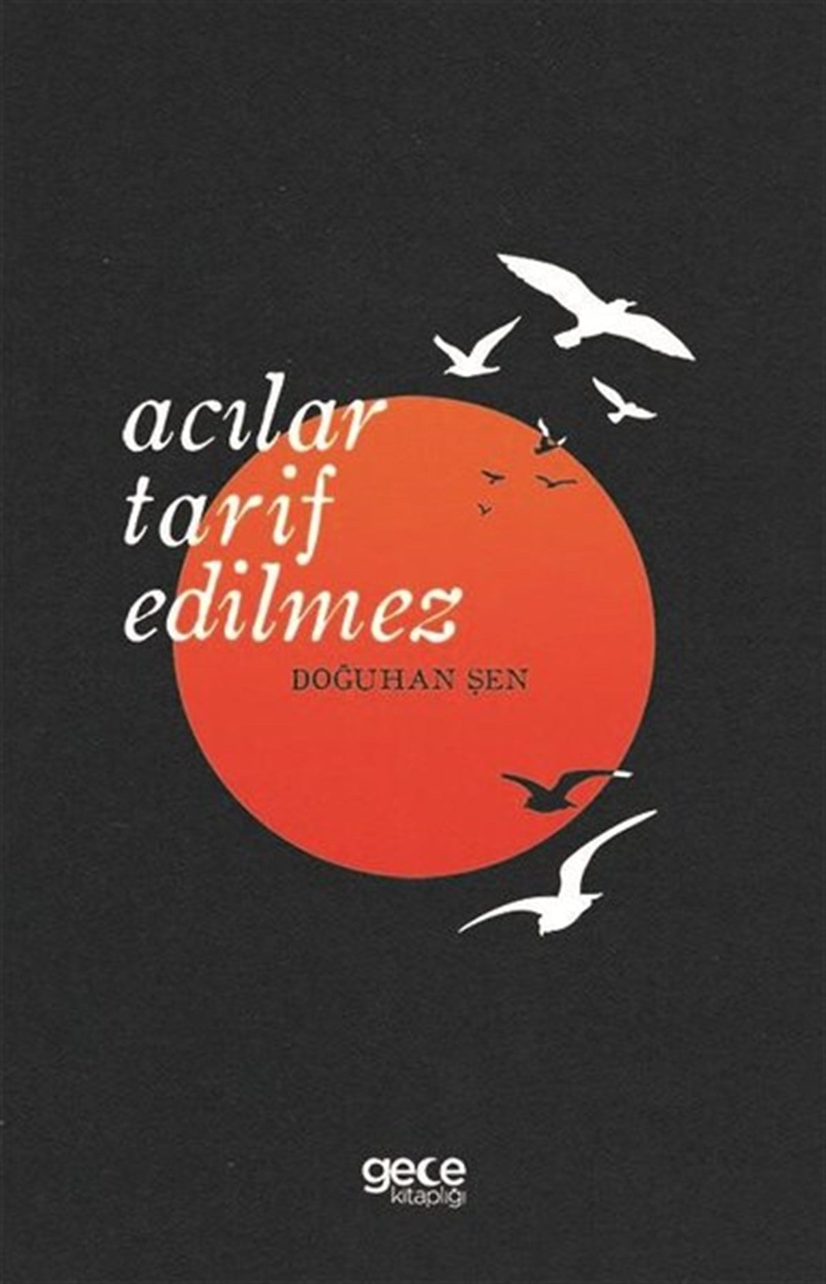 Doğuhan ŞenDeneme KitaplarıAcılar Tarif Edilmez