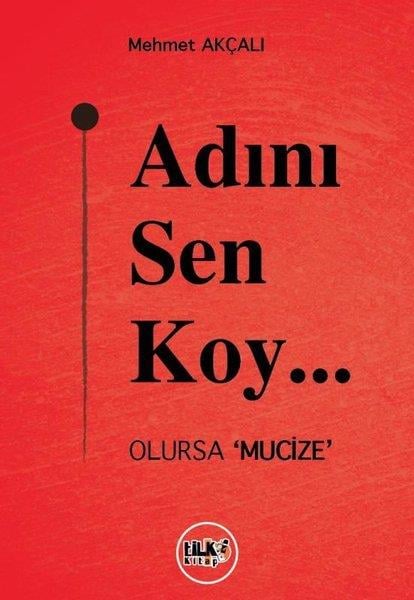 Mehmet AkçalıTürk RomaniAdını Sen Koy Olursa Mucize