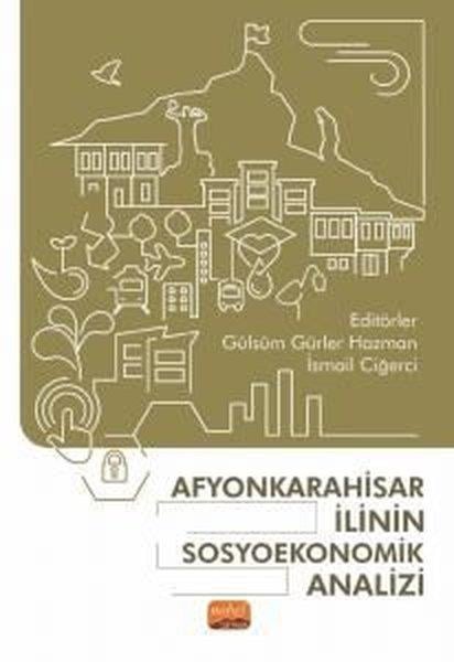 KolektifWirtschaftsbücherAfyonkarahisar İlinin Sosyoekonomik Analizi