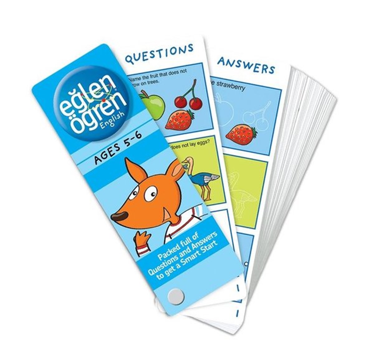 KolektifChildrenAges 5-6 Eğlen Öğren English