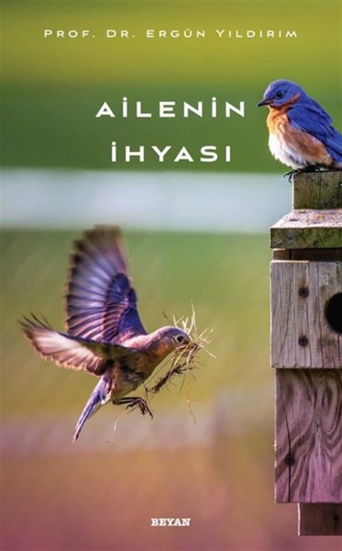 Ergül Yıldırımİslami KitaplarAilenin İhyası