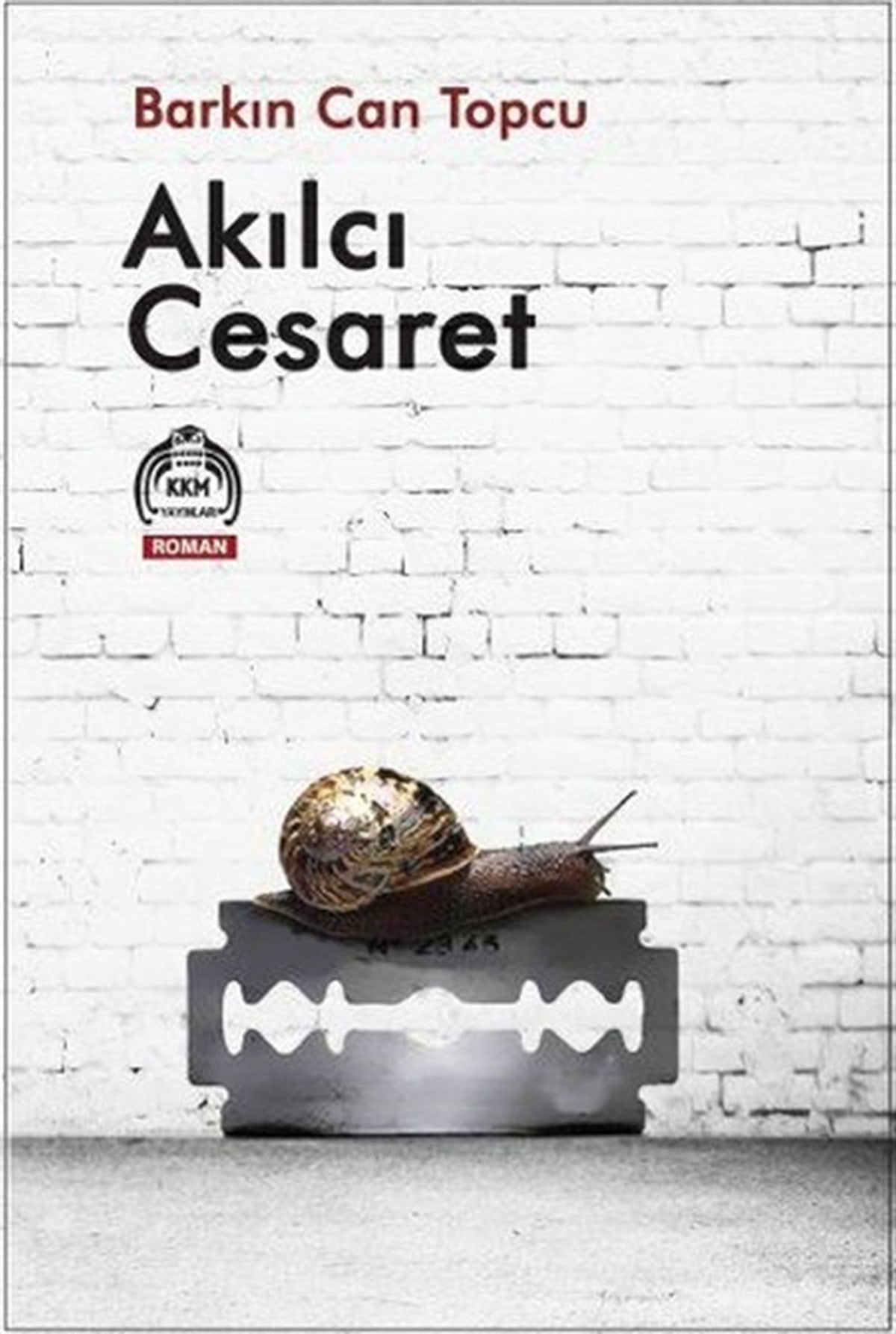 Barkın Can TopcuTürkiye RomanAkılcı Cesaret