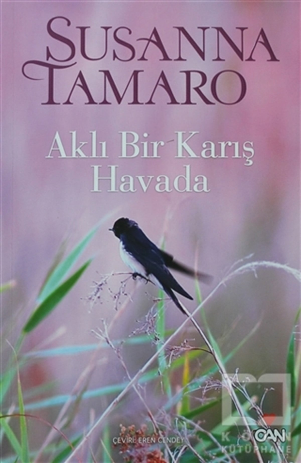 Susanna Tamaroİtalyan EdebiyatıAklı Bir Karış Havada