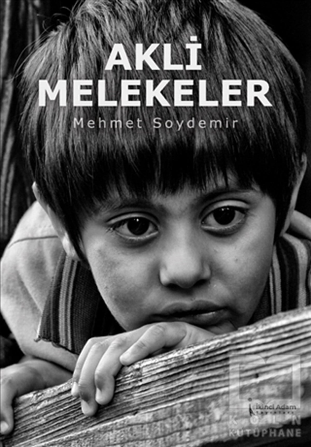 Mehmet SoydemirTürkçe RomanlarAkli Melekeler