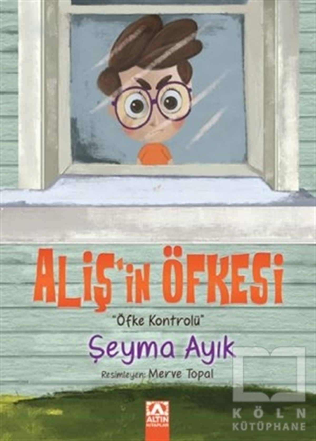 Şeyma AyıkÇocuk RomanlarıAliş'in Öfkesi