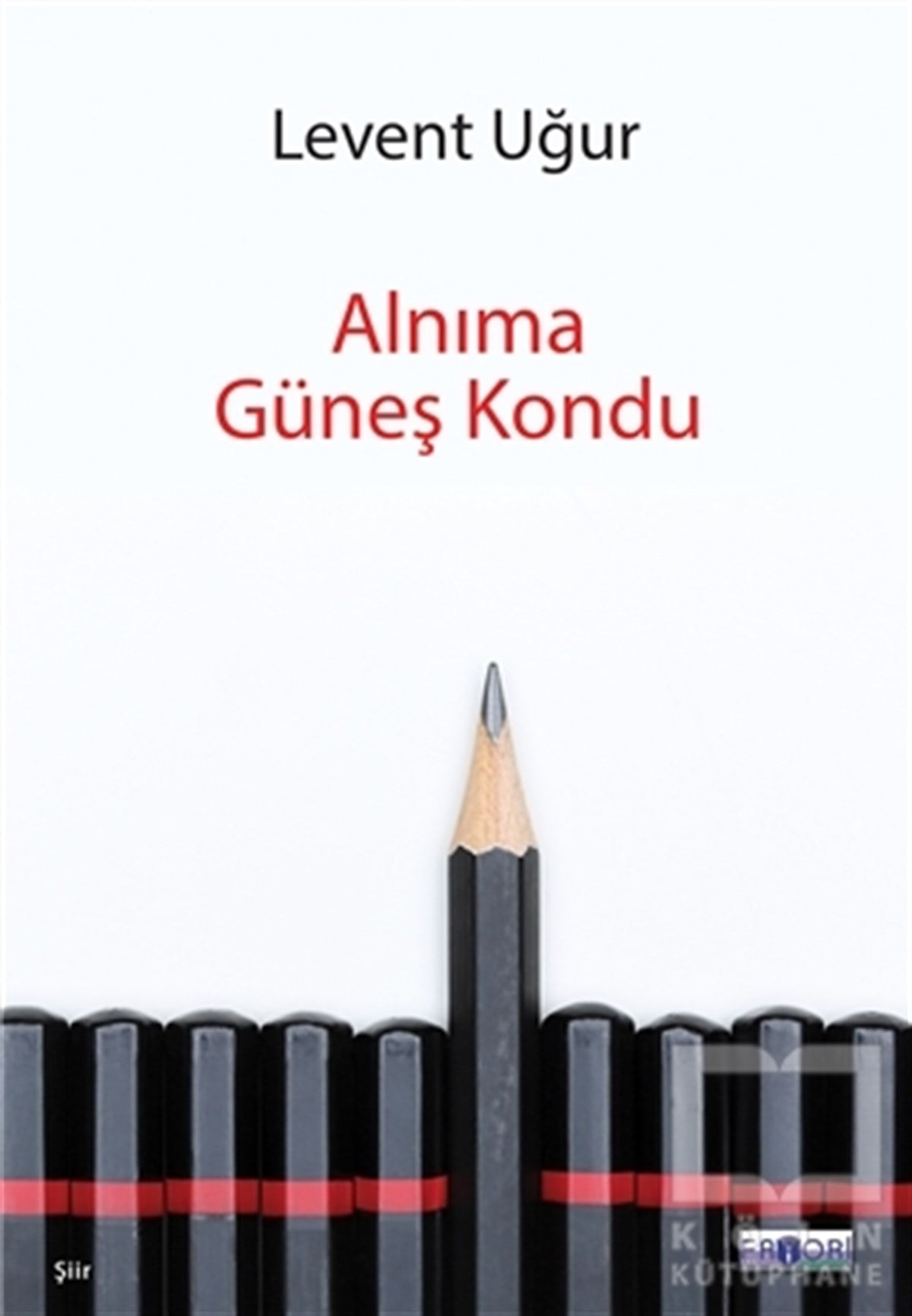 Levent UğurŞiirAlnıma Güneş Kondu