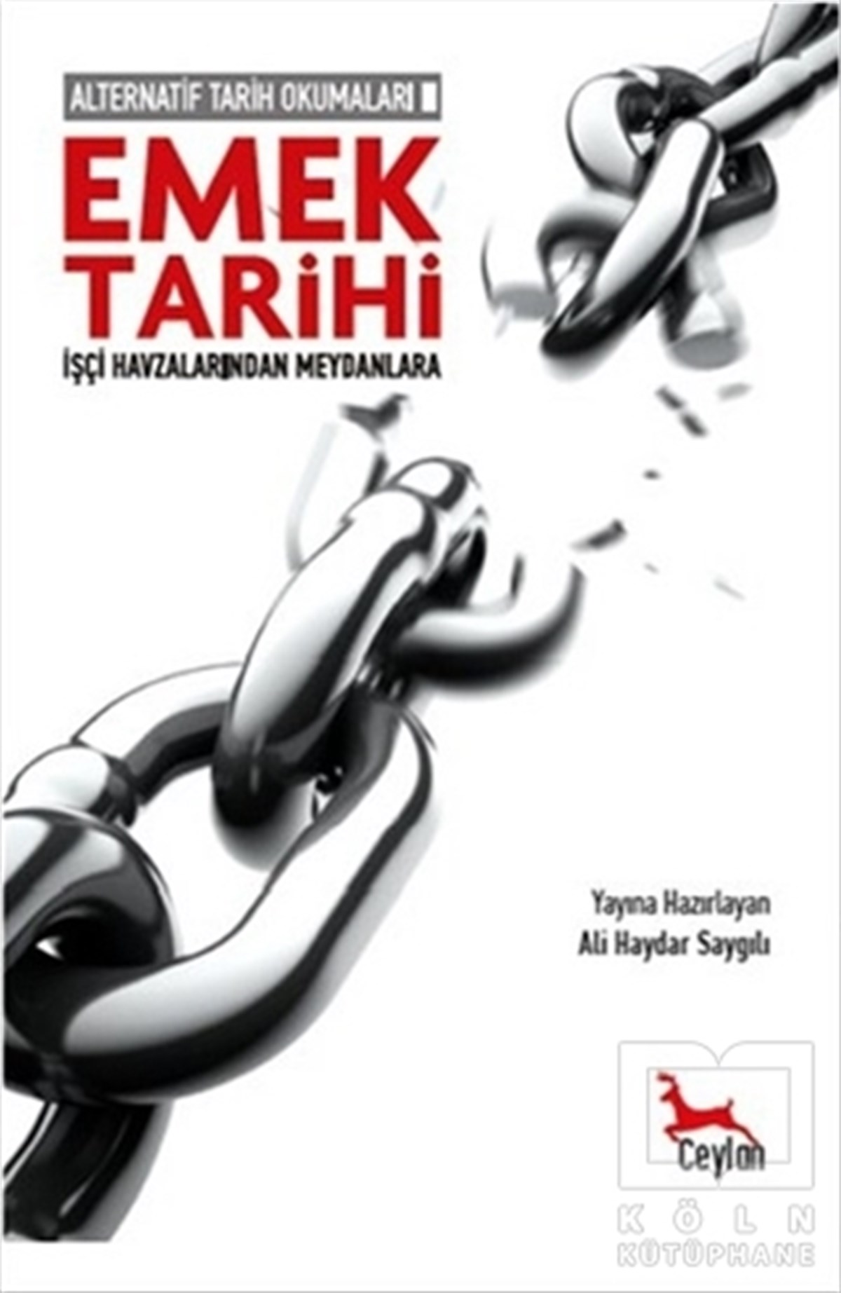 KollektifTürk Tarihi AraştırmalarıAlternatif Tarih Okumaları 2 - Emek Tarihi