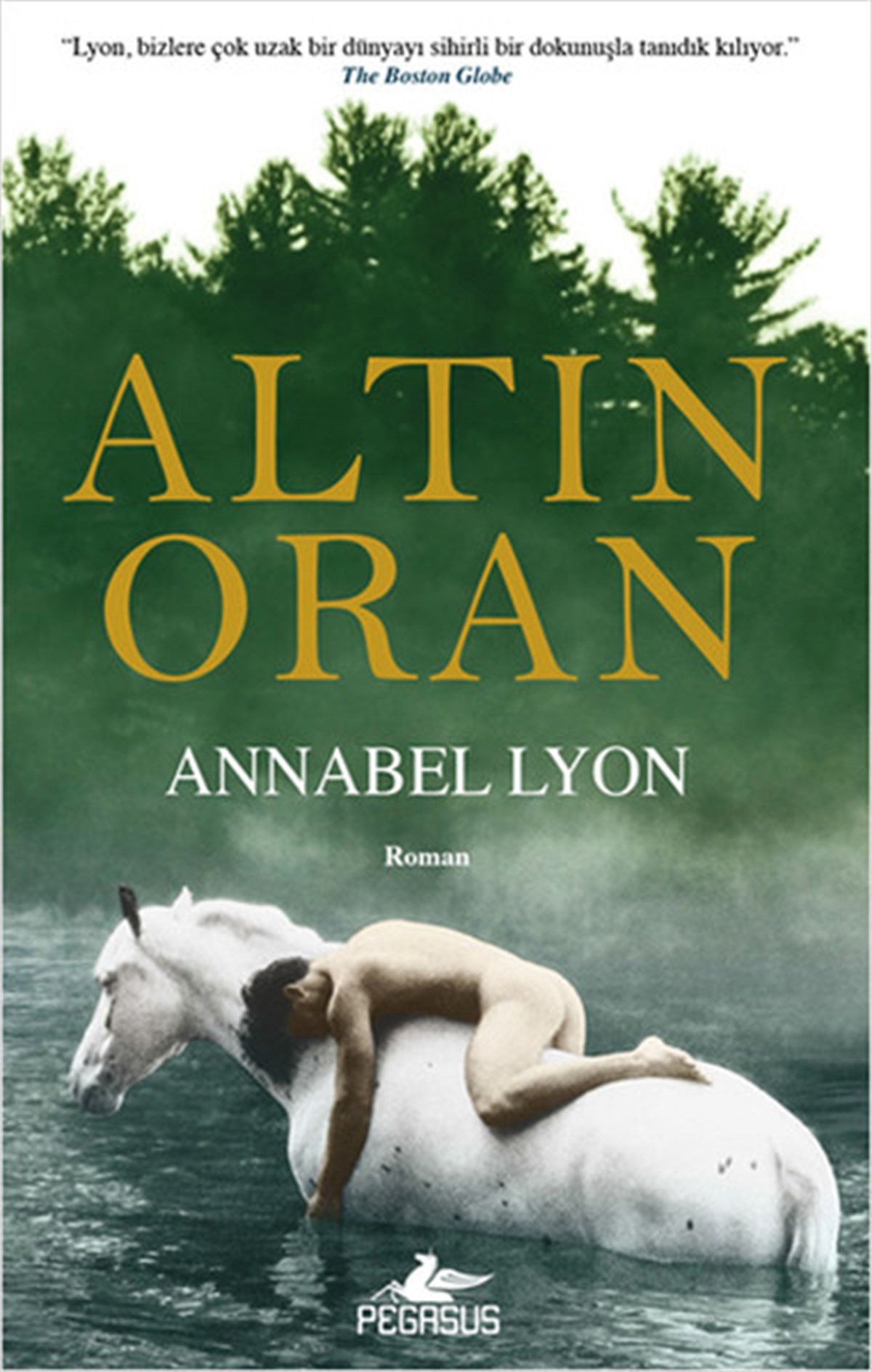 Özlem Nihan YeğengilDünya RomanAltın Oran