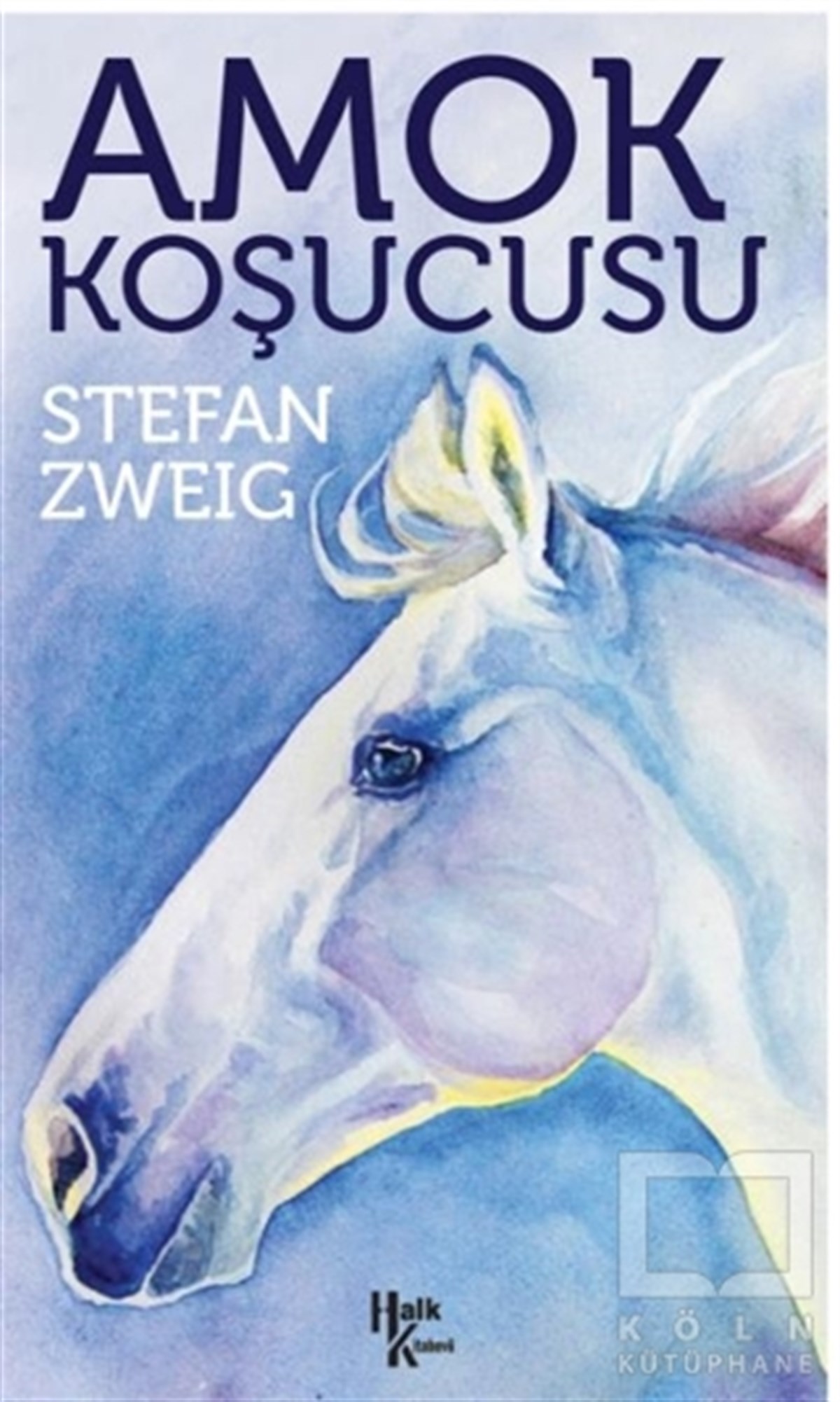 Stefan ZweigTürkçe RomanlarAmok Koşucusu