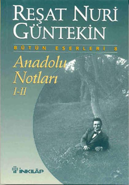 Reşat Nuri GüntekinAnı & Mektup & Günlük KitaplarıAnadolu Notları - I-II