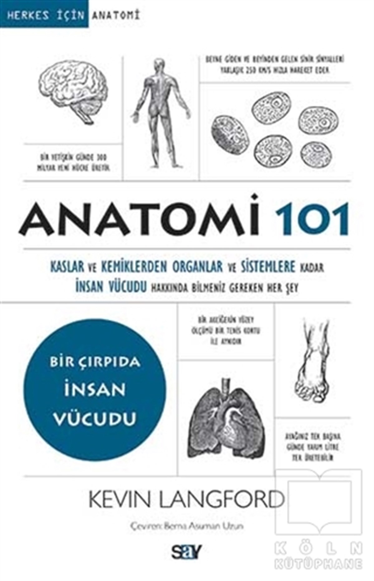 Kevin LangfordBaşvuru KitaplarıAnatomi 101