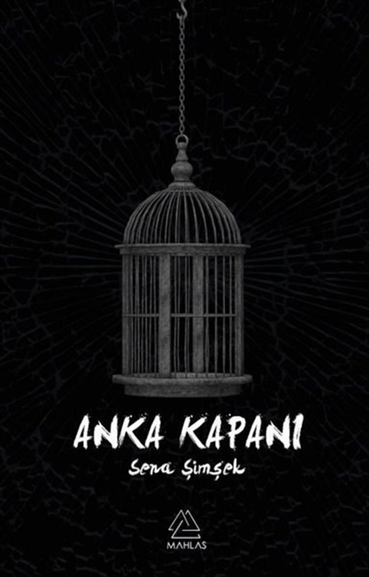 Sena ŞimşekTürkiye RomanAnka Kapanı