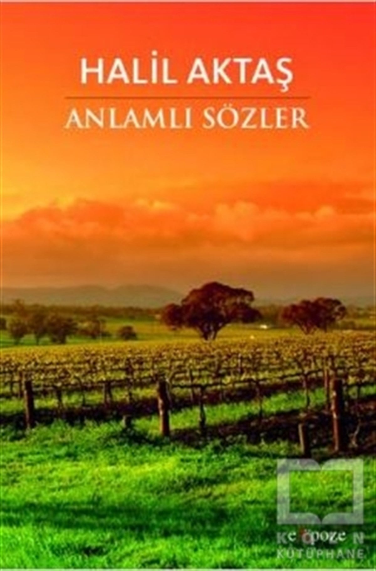 Halil AktaşDenemeAnlamlı Sözler