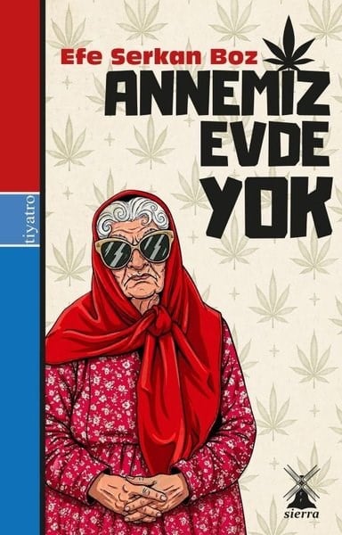 Efe Serkan BozTürk OyunlarıAnnemiz Evde Yok
