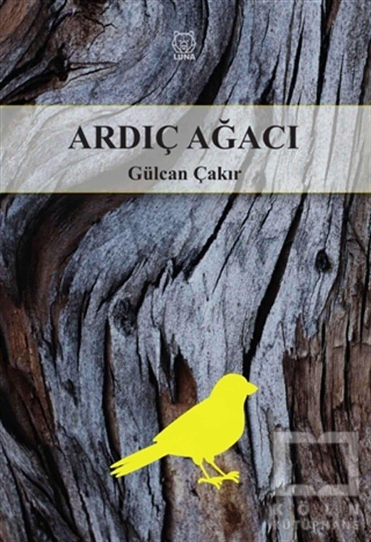 Gülcan ÇakırTürkçe Şiir KitaplarıArdıç Ağacı