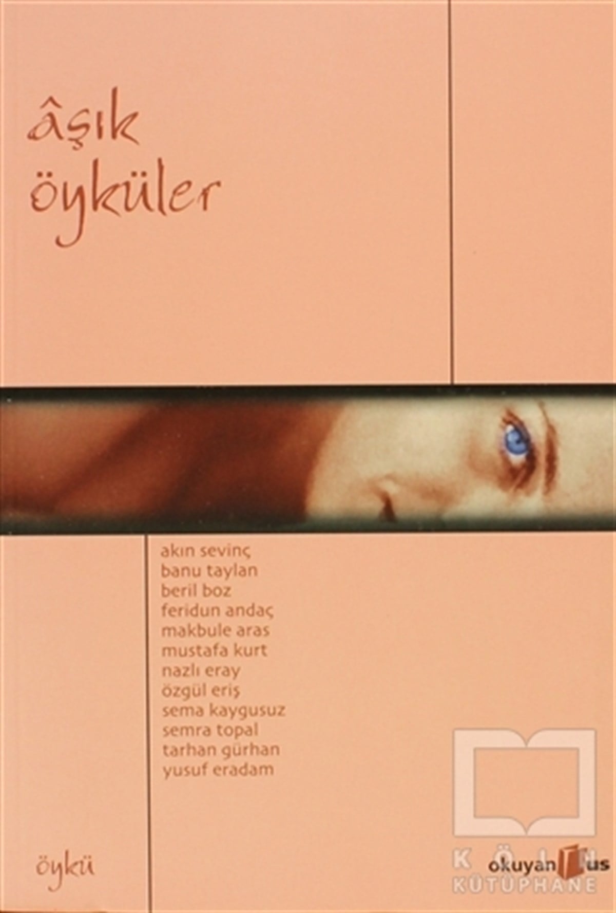 KolektifHikaye (Öykü) KitaplarıAşık Öyküler