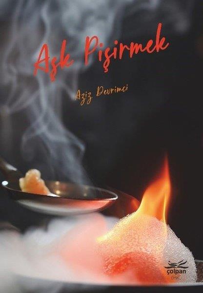 Aziz DevrimciTürkiye RomanAşk Pişirmek